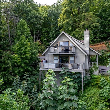 Holly Tree Cabin 936 蓋特林堡 外观 照片